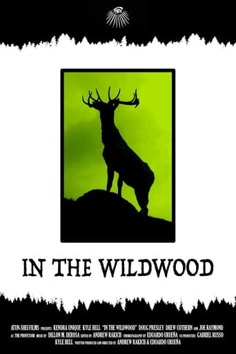 Poster of In the Wildwood