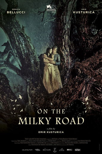 Poster of On the Milky Road