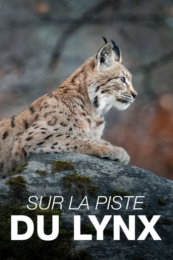 Poster of Sur la piste du lynx