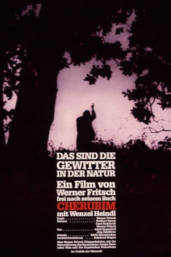 Poster of Das sind die Gewitter in der Natur