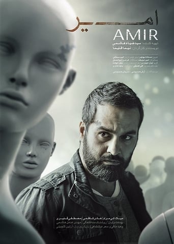 Poster of Amir