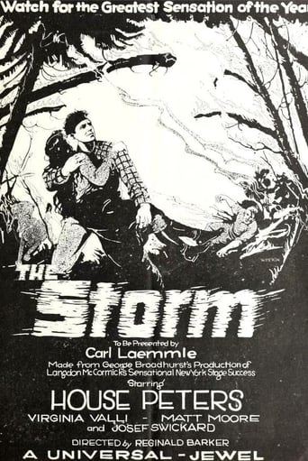 Poster of The Storm