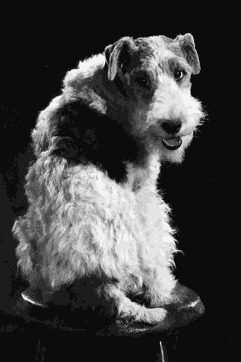 Portrait of Skippy
