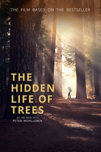 Poster of The Hidden Life of Trees