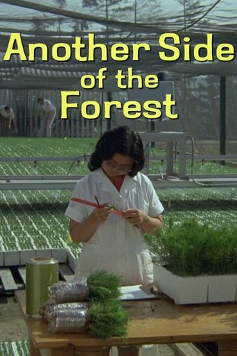 Poster of Another Side of the Forest