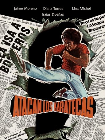 Poster of Atacan los karatecas