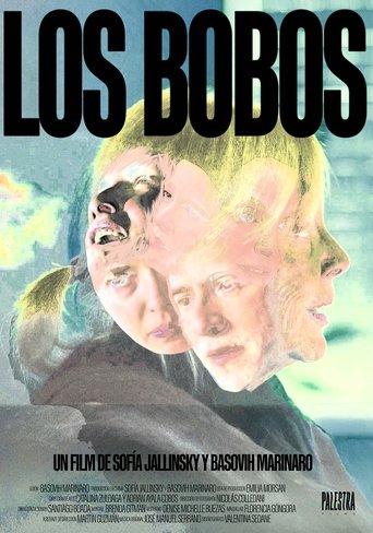 Poster of Los Bobos