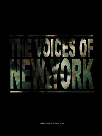 Poster of The Voices of New York