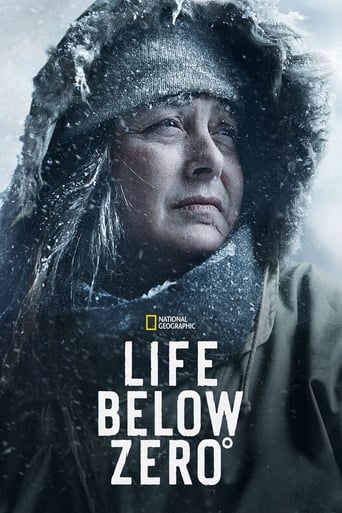 Poster of Life Below Zero