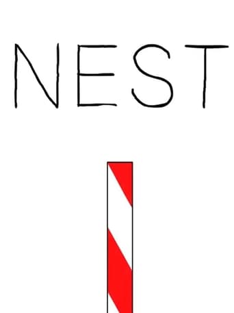 Poster of Nest