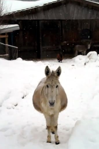 Poster of Esel mit Schnee