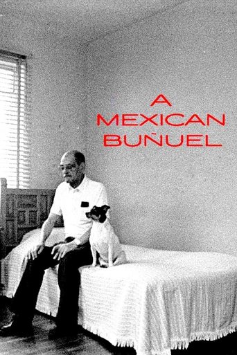 Poster of A Mexican Buñuel