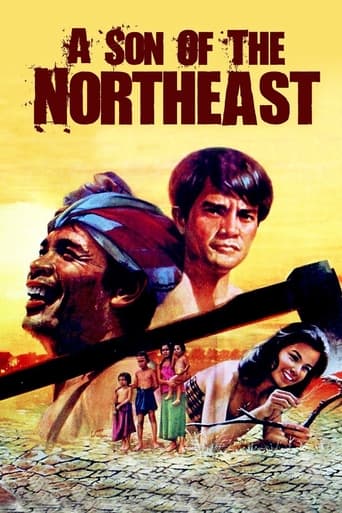 Poster of A Son of the Northeast