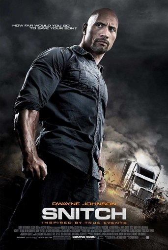 Poster of Snitch
