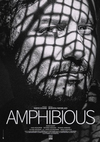 Amphibious Poster of Amphibious
