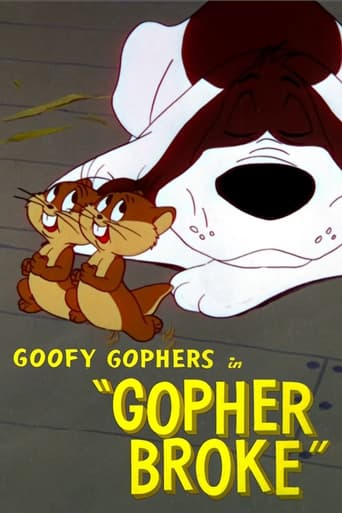 Poster of Gopher Broke