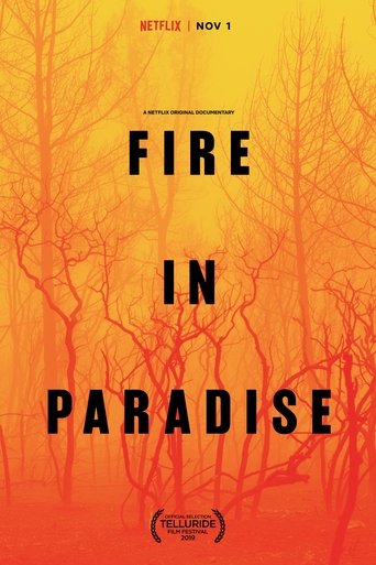 Poster of Fire in Paradise