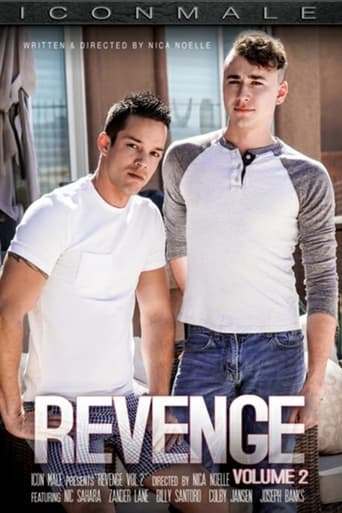 Poster of Revenge 2