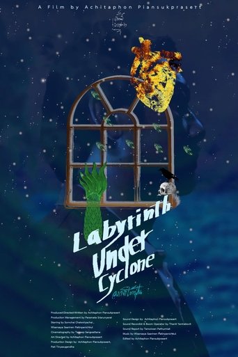 Poster of Labyrinth Under Cyclone