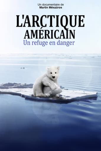 Poster of Arctic