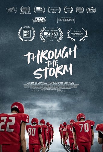 Poster of Through the Storm