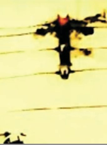 .520 Poster of .520
