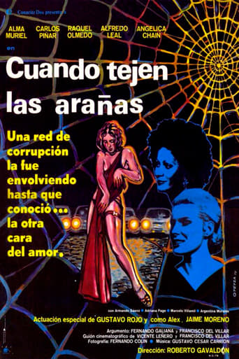 Poster of Cuando tejen las arañas