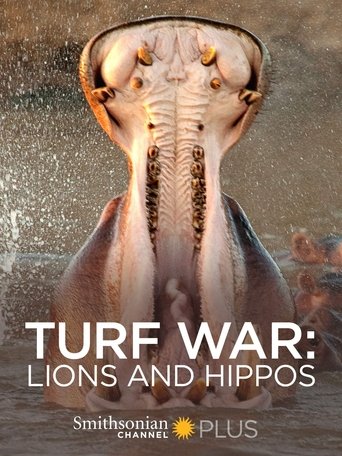 Turf War: Lions and Hippos Poster of Turf War: Lions and Hippos