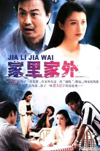 Poster of 家里家外