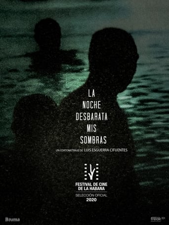 Poster of La Noche Desbarata mis Sombras