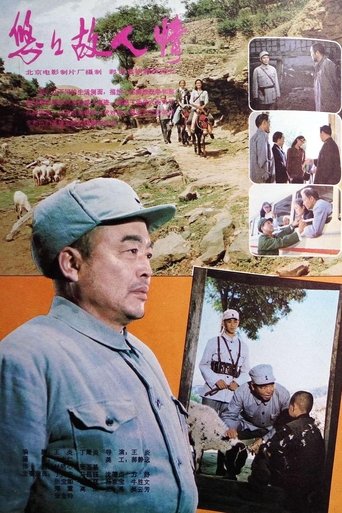 Poster of 悠悠故人情