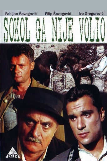 Poster of Sokol Did Not Love Him