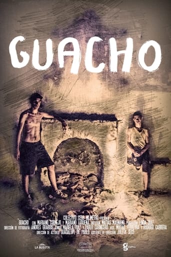 Poster of Guacho