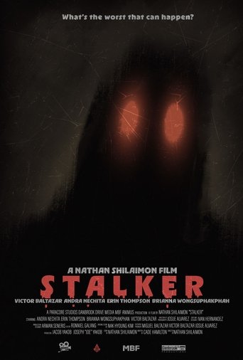 Poster of STALKER