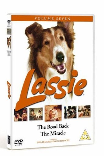Poster of Lassie - The Road Back