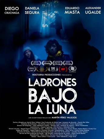 Poster of THIEVES UNDER THE MOON