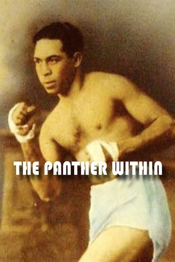 Poster of The Panther Within