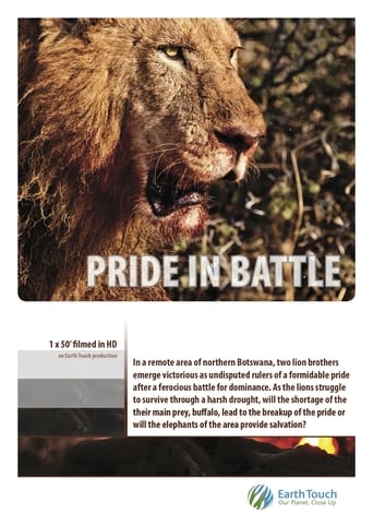 Poster of Pride in Battle