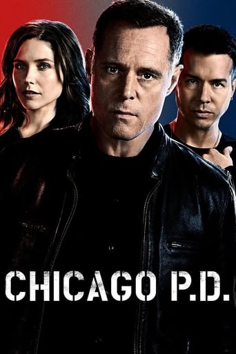 Portrait for Chicago P.D. - Season 2