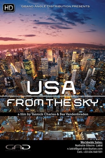 Poster of USA from the Sky