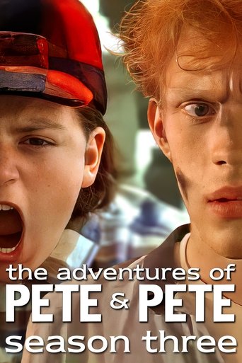 Portrait for The Adventures of Pete & Pete - Season 3