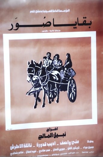 Poster of Fragments of Photographs