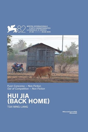 Poster of Back Home