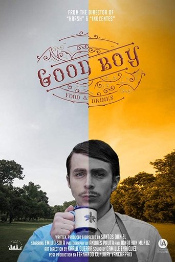 Poster of Good boy