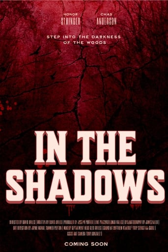 Poster of In The Shadows