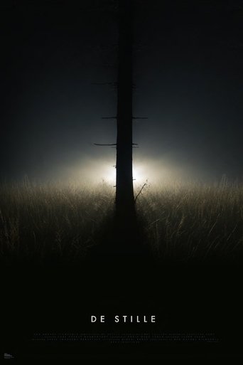 Poster of De Stille