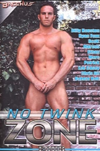 Poster of No Twink Zone 4