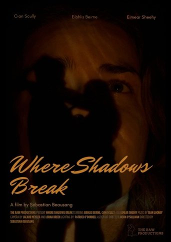 Poster of Where Shadows Break