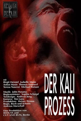 Poster of Der Kali Prozess