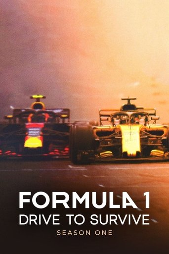 Portrait for Formula 1: Drive to Survive - Season 1
